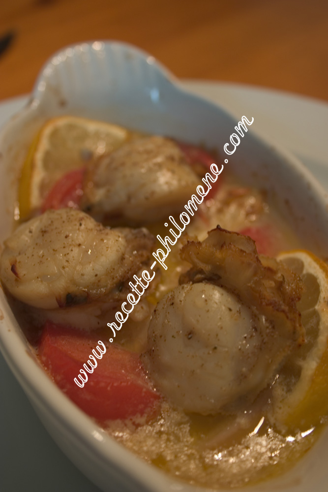 Photo de la recette : Coquilles saint-jacques aux tomates et aux oignons